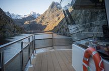 Lofoten Island: Silent Trollfjord Cruise from Svolvær