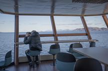 Lofoten Island: Silent Trollfjord Cruise from Svolvær