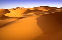 8 Days Tunisia Tour from Tunis