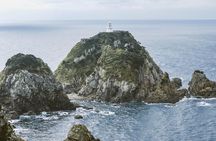 Kagoshima Private Customizable Half Day Tour