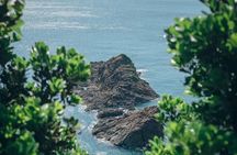 Kagoshima Private Customized Full Day Tour