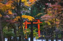 Kagoshima Private Customizable Half Day Tour