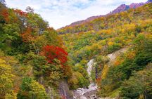 Niigata Private Customizable Full Day Tour