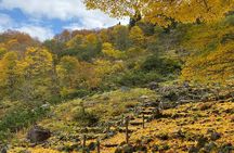 Niigata Private Customizable Full Day Tour