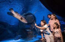 Antalya Aquarium Tour Platinium Tour