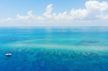 Key West Sunset Snorkel with Unlimited Draft Beer & Wine