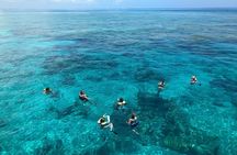 Key West 2 Reef Snorkel Tour & Sunset Cruise with Beer & Wine