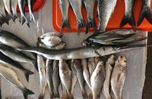 Half-Day Cooking Experience by the Pacific Ocean