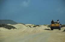 Private Sal Island Tour Authentic Experience from Santa Maria