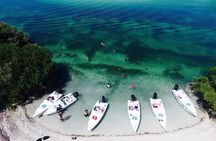 Key West Safari Eco Sandbar Tour Adventure with Snorkeling