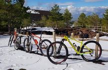 5-Hour Mount Etna Mountain Biking Tour