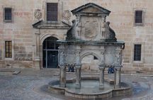 Guided tour of Baeza with entrance Baeza Cathedral