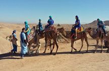 Dinner in Agafay Desert with Camel Ride or Quad Bike
