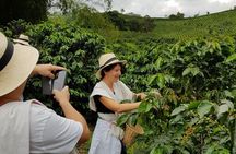 Coffee Culture and Hotsprings