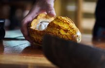 2-Day Exclusive Coffee and Cacao Experience