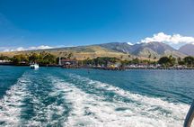 2-Hour Oahu Whale Watch from Ala Wai Harbor, Waikiki
