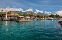 2-Hour Oahu Whale Watch from Ala Wai Harbor, Waikiki