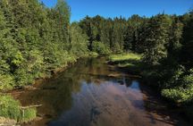 Fly Fishing Guided Experiences