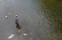 Fly Fishing Guided Experiences