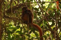 15 Days Exploring South and West of Madagascar