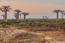 15 Days Exploring South and West of Madagascar
