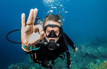 Open Water Course in Nusa Lembongan - Get Certified on remote island (next Bali)