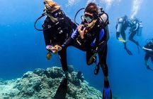 Discover Scuba Diving in Tulamben - Diving Initiation in Bali best diving sites