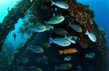 Discover Scuba Diving in Tulamben - Diving Initiation in Bali best diving sites