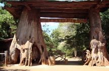 City Tour Puerto Iguazu 