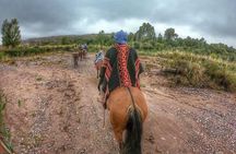 Horseback ride through vineyards followed by gourmet lunch