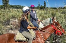 Horseback ride through vineyards followed by gourmet lunch