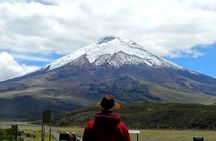 Cotopaxi Hike & Horse
