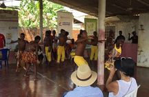 Private freedom tour in Palenque
