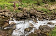 Unmissable Martinique North Tour with Saint-Pierre