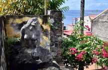 Unmissable Martinique North Tour with Saint-Pierre