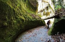 Private Day Trip of Lake Shikotsu and Moss Canyon