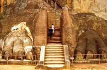 Sigiriya Day Tour from Colombo or Negombo by Private Car / Van