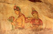 Sigiriya Day Tour from Colombo or Negombo by Private Car / Van