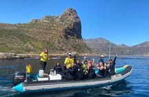 Animal Ocean Safaris