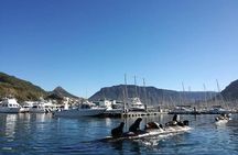 Animal Ocean Safaris