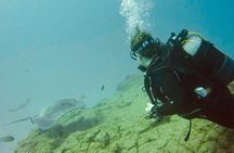 TRY SCUBA DIVING with a Dedicated Instructor