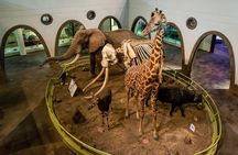 Half-Day Guided Tour to Nairobi National Museum and Snake Park