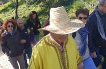 Private Day Trip from Fes to Volubilis & Meknes