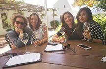 Cape Winelands Stellenbosch Franschhoek Paarl Tour from Cape Town