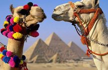 Cairo : Giza Pyramids ,Sphinx , Sakkara & Memphis Full-Day Tour with Camel Ride