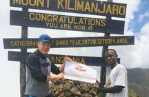 Kilimanjaro Day Hike - Shira Route