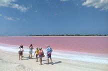 Full-Day Tour to Las Coloradas Pink Paradise in Yucatan and Rio Lagartos.