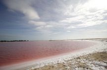 Full-Day Tour to Las Coloradas Pink Paradise in Yucatan and Rio Lagartos.