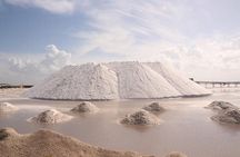 Full-Day Tour to Las Coloradas Pink Paradise in Yucatan and Rio Lagartos.