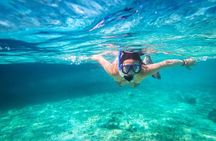 Snorkel and swim in Cozumel el Cielo Reef, Palancar and Colombia